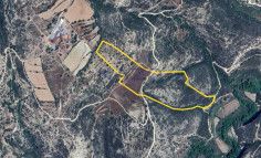 Large Dora field plot 61875m2 in vineyard area (access via registered dirt road) , Limassol