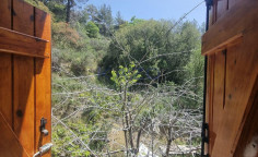 For sale detached house in beautiful mountain Platres 