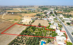 Shared field in acheritou, Famagusta 