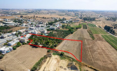 Shared field in acheritou, Famagusta 