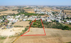 Shared field in acheritou, Famagusta 