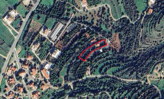 Large development plot for sale in Nea Dimmata , Paphos