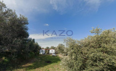 Large development plot for sale in Nea Dimmata , Paphos