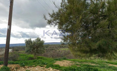 Field for sale 400 m2 in scenic Lofou , Limassol Field for sale 400 m2 in scenic Lofou , Limassol