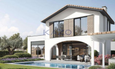 Luxury Souni villa with pool and four bedrooms 