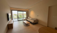 Luxury 2 bedrooms apartment to rent in Aglantzia