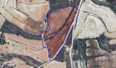 Large 15051 m2 field for sale in Pachna (landlocked) , Limassol