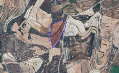 Large 15051 m2 field for sale in Pachna (landlocked) , Limassol