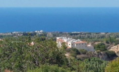Large land for sale in Tala, Paphos
