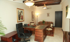 Luxurious office building for sale 