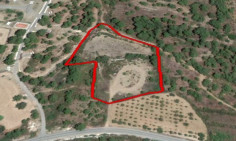 (agricultural) in Agios Mamas, Limassol for sale , Limassol