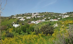 4 bedroom bungalow with swimming pool for sale in Armou