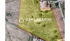 Residential 9767 m2 for sale in Alethriko, Larnaca
