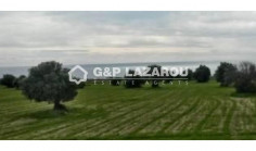 Agricultural land for sale in Agios Theodoros, Larnaca 