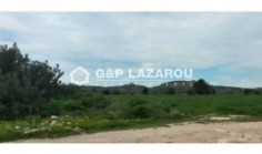 Agricultural land for sale in Agios Theodoros, Larnaca 