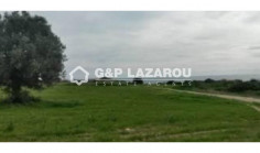 Agricultural land for sale in Agios Theodoros, Larnaca 