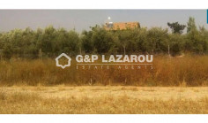 Spacious residential for sale in Mazotos, Larnaca