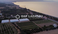 Residential 21410 m2 for sale in Poli Crysochous, Paphos