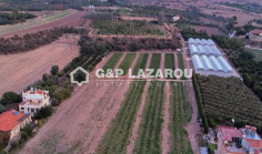 Residential 21410 m2 for sale in Poli Crysochous, Paphos
