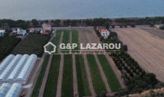 Residential 21410 m2 for sale in Poli Crysochous, Paphos