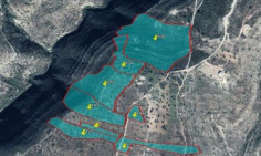 (agricultural) in Agios Ambrosios, Limassol for sale , Limassol