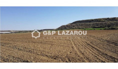 Land 8173 m2 for sale in Dali, Nicosia