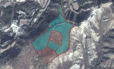 Land 25419 m2 for sale in Pissouri, Limassol