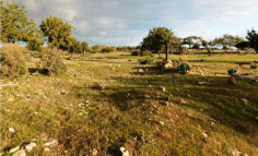 Land 25419 m2 for sale in Pissouri, Limassol