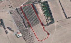 Residential 18228 m2 for sale in Kouklia, Paphos