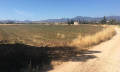 Residential 4348 m2 for sale in Astromeritis, Nicosia
