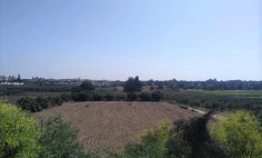Residential 3512 m2 for sale in Mazotos, Larnaca