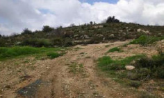Land for sale in Pachna, Limassol