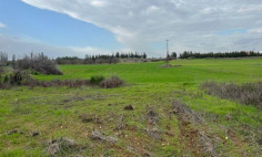 Residential 7674 m2 for sale in Geri, Nicosia