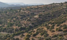 (agricultural) in Apesia, Limassol for sale , Limassol