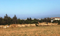 Residential 1894 m2 for sale in Ypsonas, Limassol