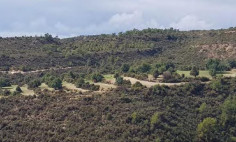 Spacious land for sale in Ypsonas, Limassol