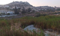 Residential 2946 m2 for sale in Agios Tychonas, Limassol