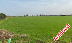 Residential 5255 m2 for sale in Frenaros, Famagusta