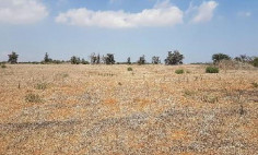 Land 2959 m2 for sale in Avgorou, Famagusta