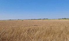 Luxury land for sale in Frenaros, Famagusta