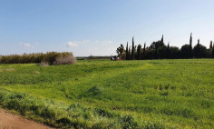 Land 2242 m2 for sale in Avgorou, Famagusta