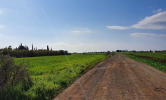 Land 2242 m2 for sale in Avgorou, Famagusta