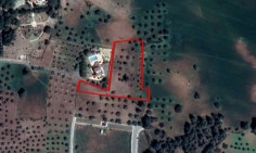 Residential 1896 m2 for sale in Kornos, Larnaca