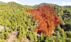 Luxury residential for sale in Moniatis, Limassol