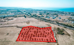 Field in Oroklini, Larnaca , Larnaca