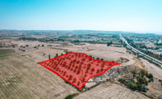 Field in Oroklini, Larnaca , Larnaca
