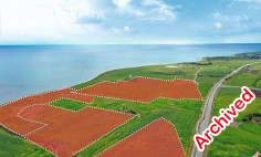 Beachfront fields in Softades, Larnaca , Larnaca