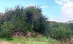 Residential 1071 m2 for sale in Paralimni, Famagusta