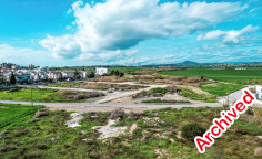 Field in vergina, Larnaca , Larnaca