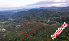Two fields in Lythrodontas, Nicosia 